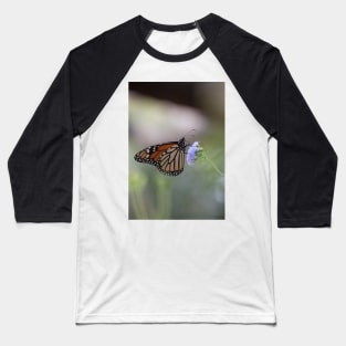 Migration Series V Baseball T-Shirt